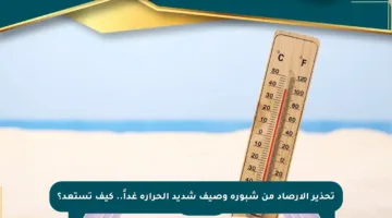 تحذير الأرصاد من شبورة وصيف شديد الحرارة غداً.. كيف تستعد؟